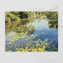 Lake Erie Metropark River View