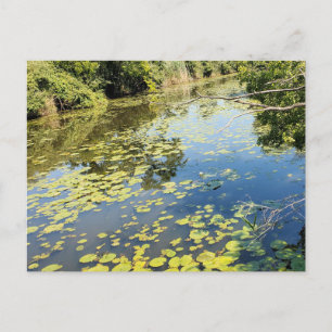 Lake Erie Metropark River View Postcard