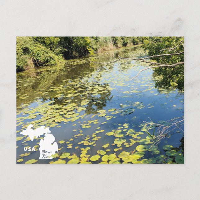 Lake Erie Metropark River View with Logo Postcard (Front)