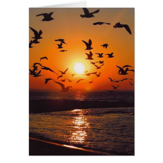 Lake Erie Sunset Cards (Front)