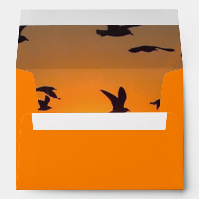 Lake Erie Sunset Envelope (Back (Bottom))