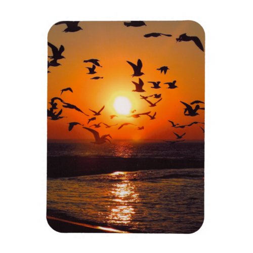 Lake Erie Sunset Magnet