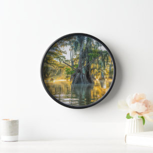 Lake Fausse Pointe State Park Clock