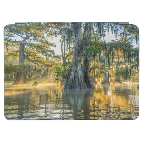 Lake Fausse Pointe State Park iPad Air Cover