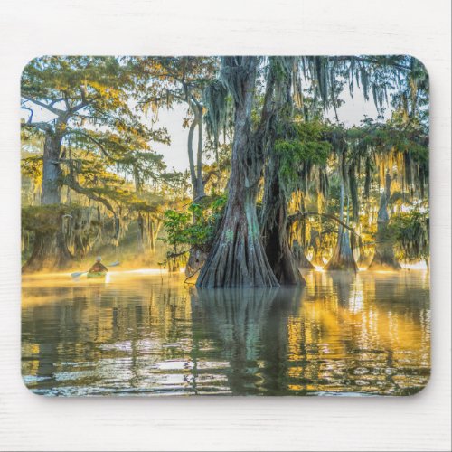 Lake Fausse Pointe State Park Mouse Pad