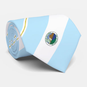 Lake Forest (California) city flag Neck Tie