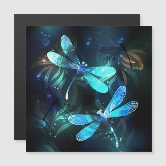 Lake Glowing Dragonflies (Front/Back)