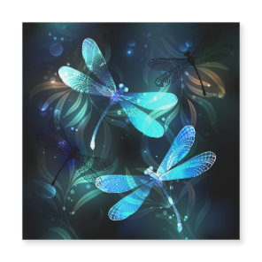 Lake Glowing Dragonflies