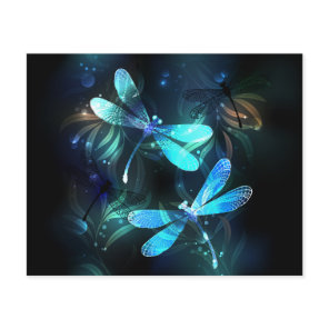 Lake Glowing Dragonflies
