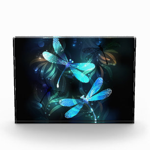 Lake Glowing Dragonflies Acrylic Award