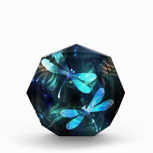 Lake Glowing Dragonflies Acrylic Award