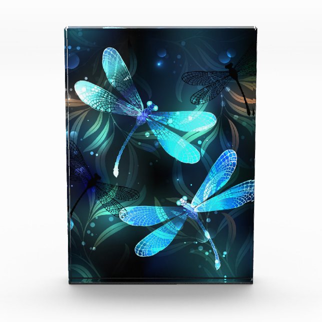 Lake Glowing Dragonflies Acrylic Award (Front)
