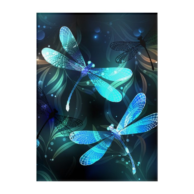 Lake Glowing Dragonflies Acrylic Print (Front)