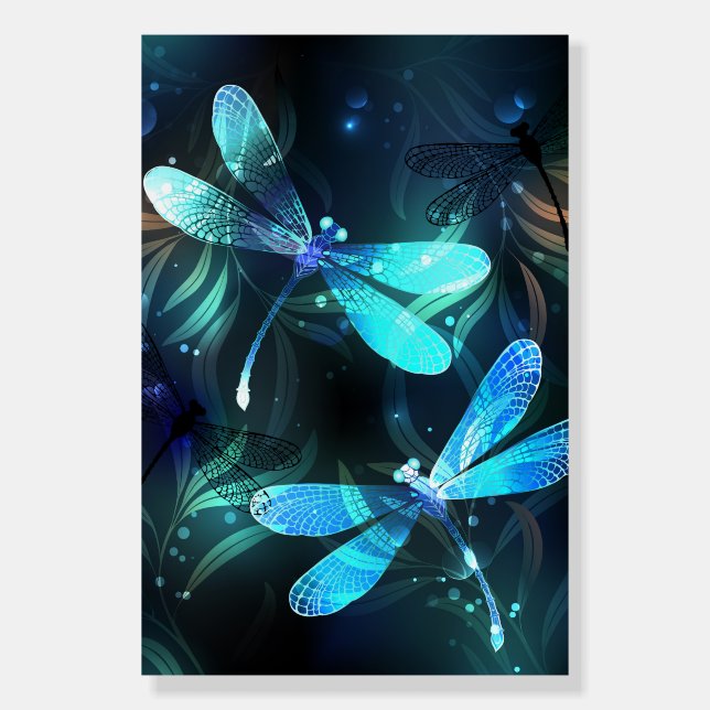 Lake Glowing Dragonflies Foam Board (Front)