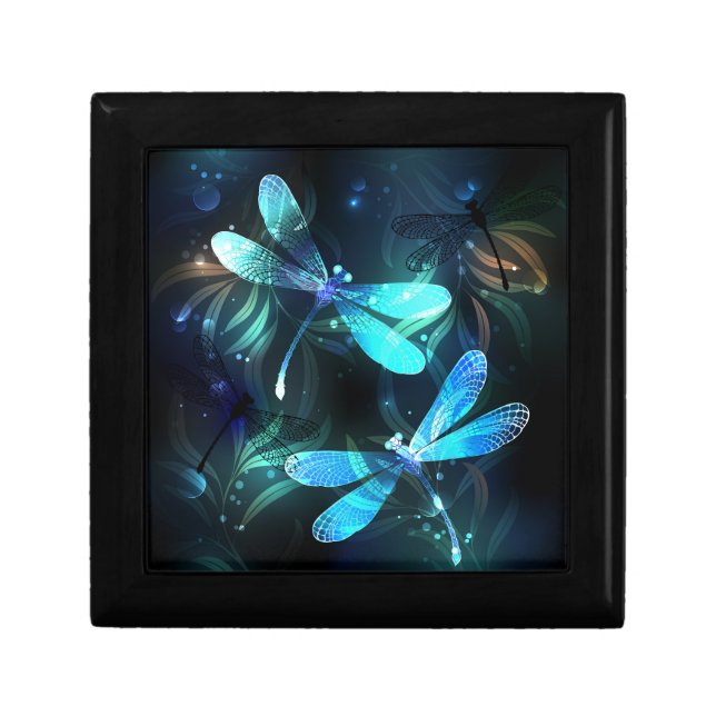 Lake Glowing Dragonflies Gift Box (Front)