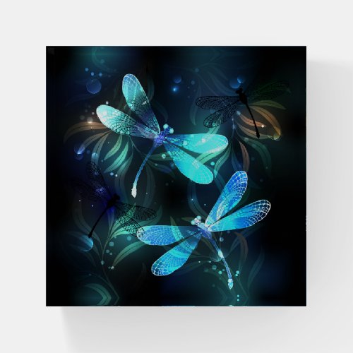 Lake Glowing Dragonflies Paperweight