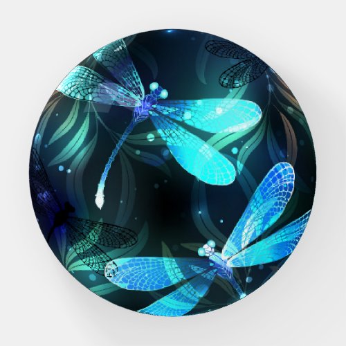 Lake Glowing Dragonflies Paperweight