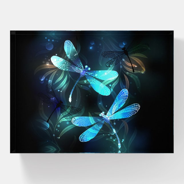 Lake Glowing Dragonflies Paperweight (Front)