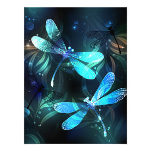Lake Glowing Dragonflies Photo Print