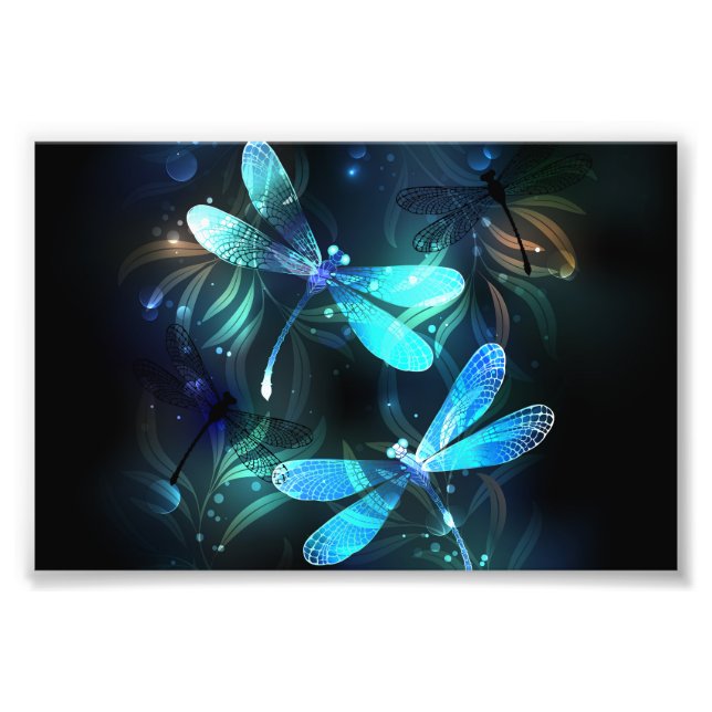 Lake Glowing Dragonflies Photo Print (Front)