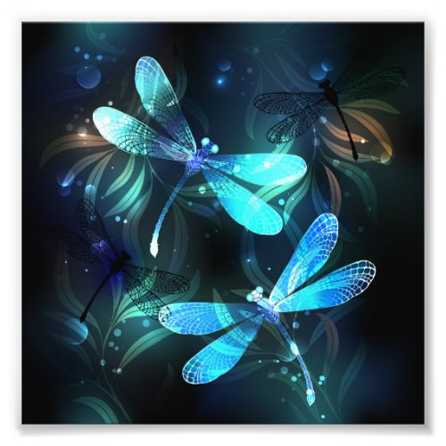 Lake Glowing Dragonflies Photo Print