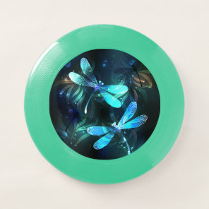 Lake Glowing Dragonflies Wham-O Frisbee
