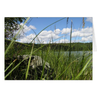 Lake grass cards