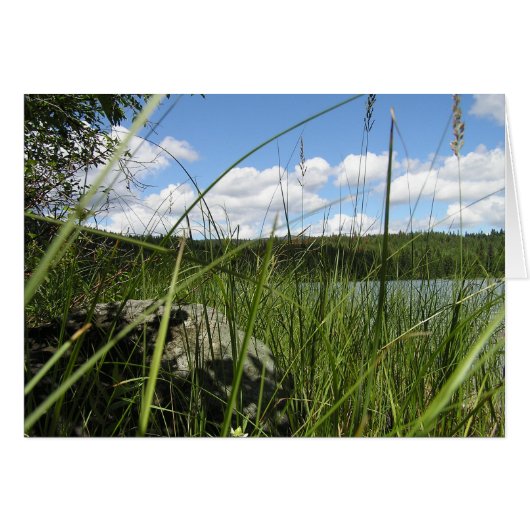 Lake grass cards (Front Horizontal)