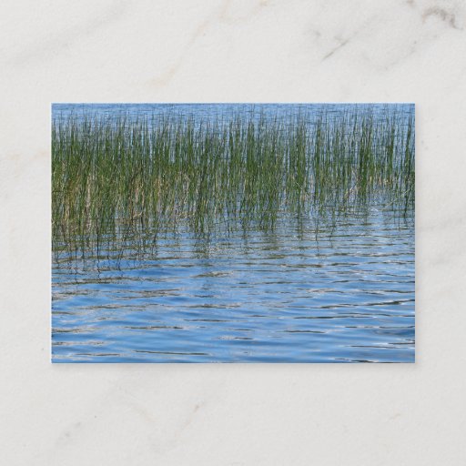Customizable Lake Grasses Business Card Template