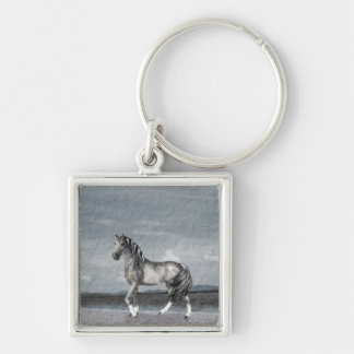 Lake Guardian Keychain