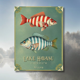 Lake Havasu Arizona nautical fish Postcard
