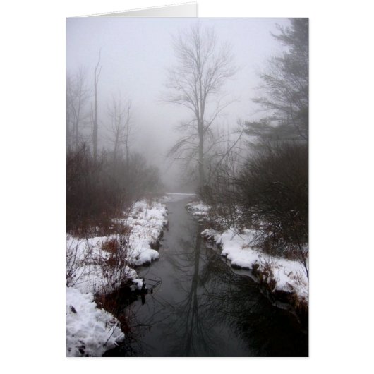 Lake Hill Winter, NY Cards (Front)