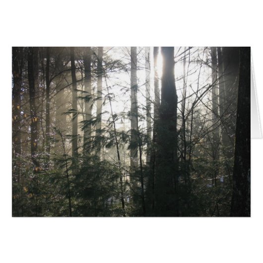 Lake Hill Winter, NY Cards (Front Horizontal)