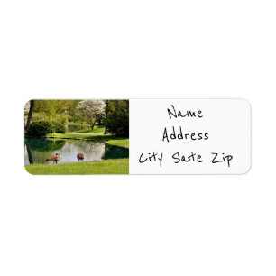 "LAKE HOUSE LIVING" RETURN ADDRESS LABELS