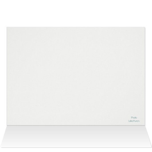 Lake Huron (Inside Horizontal (Top))