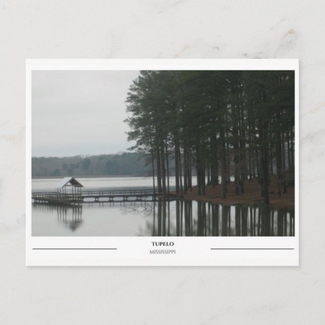 Lake in Tupelo Mississippi Postcard (Front)