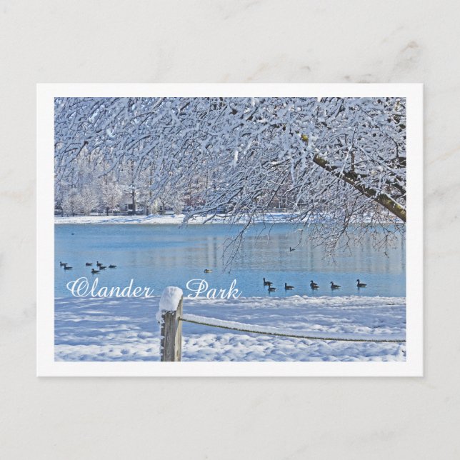 LAKE IN WINTER/OLANDER PARK, SYLVANIA, OH POSTCARD (Front)