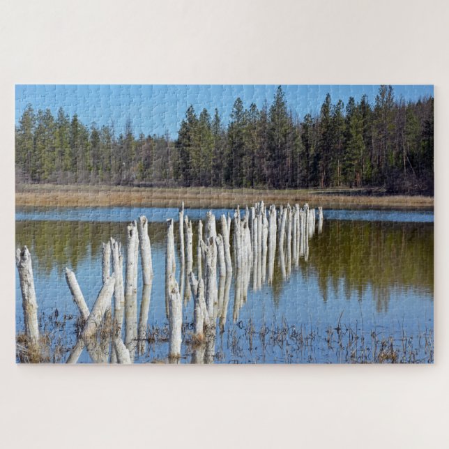 Lake in woods jigsaw puzzle (Horizontal)