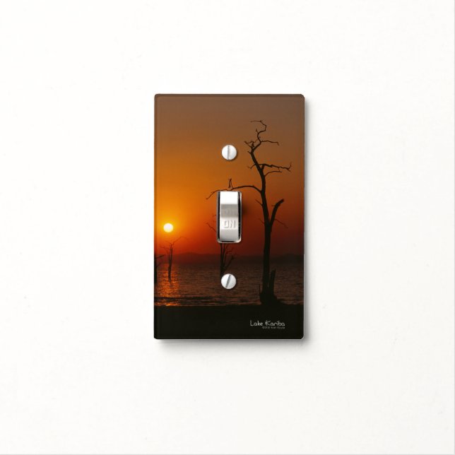 Lake Kariba Light Switch Cover (In Situ)