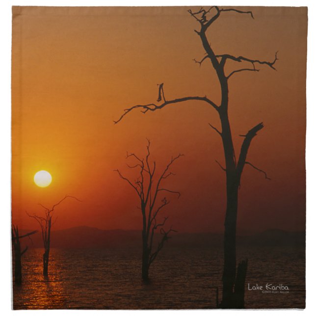 Lake Kariba Napkin (Front)