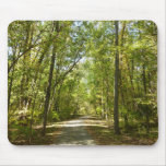 Lake Kittamaquandi Trail in Columbia Maryland Mouse Pad