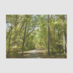 Lake Kittamaquandi Trail in Columbia Maryland Tissue Paper