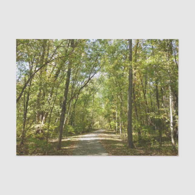 Lake Kittamaquandi Trail in Columbia Maryland Tissue Paper (Front)