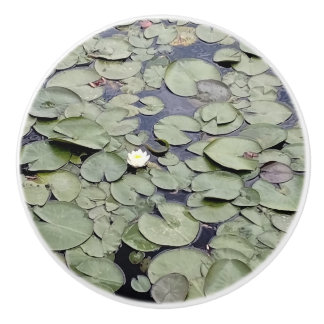 Lake Lily Pad Explosion Ceramic Knob