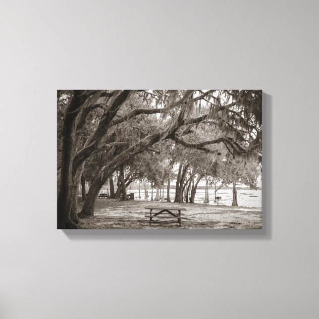 Lake Louisa SP #2 Canvas Print (Front)