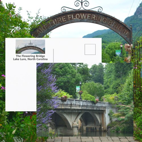 Lake Lure Flowering Bridge North Carolina Photo Postcard