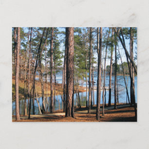 Lake Martin Alabama Lakeside Forest Photography Postcard