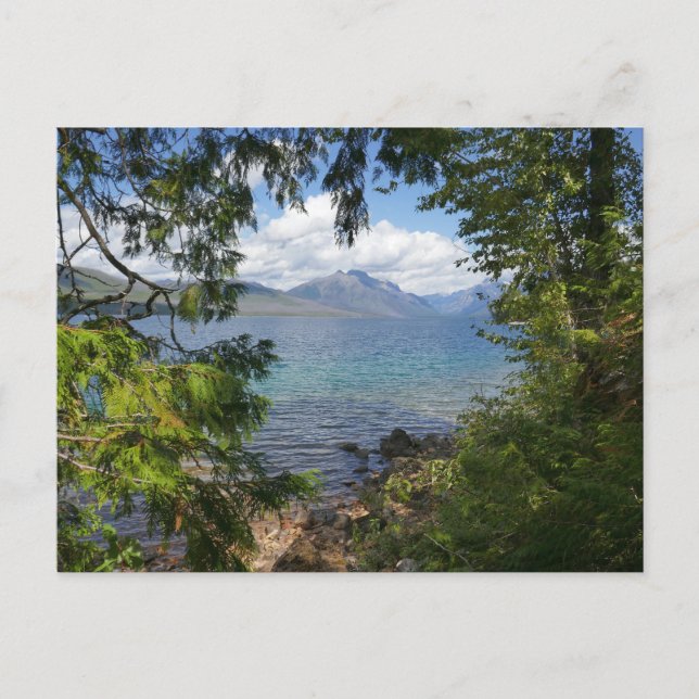 Lake McDonald Through Forest Frame Postcard (Front)