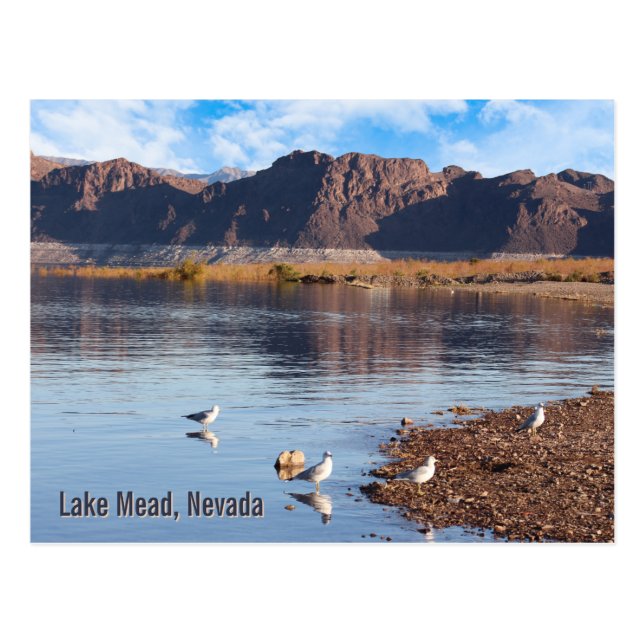  Lake Mead, Boulder Beach, Nevada Poster Postcard (Front)