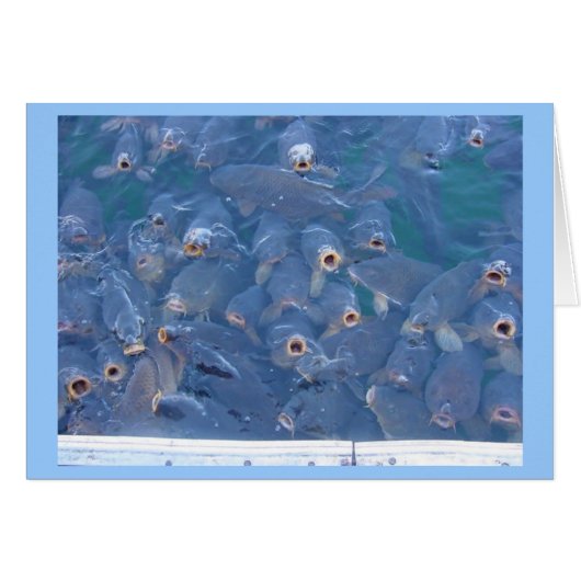 Lake Mead fishing Cards (Front Horizontal)